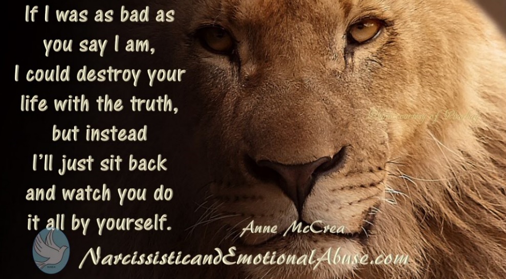 you-will-do-it-by-yourself-narcissistic-and-emotional-abuse