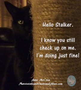 Hello Stalker