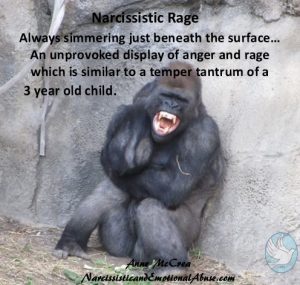 Narcissistic Rage